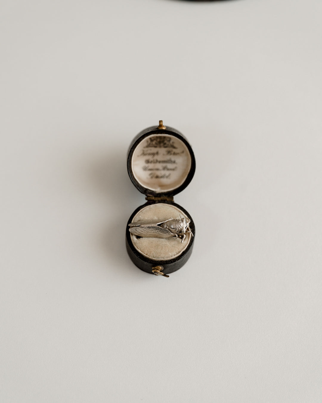 C.1900|Cicada Petit Brooch