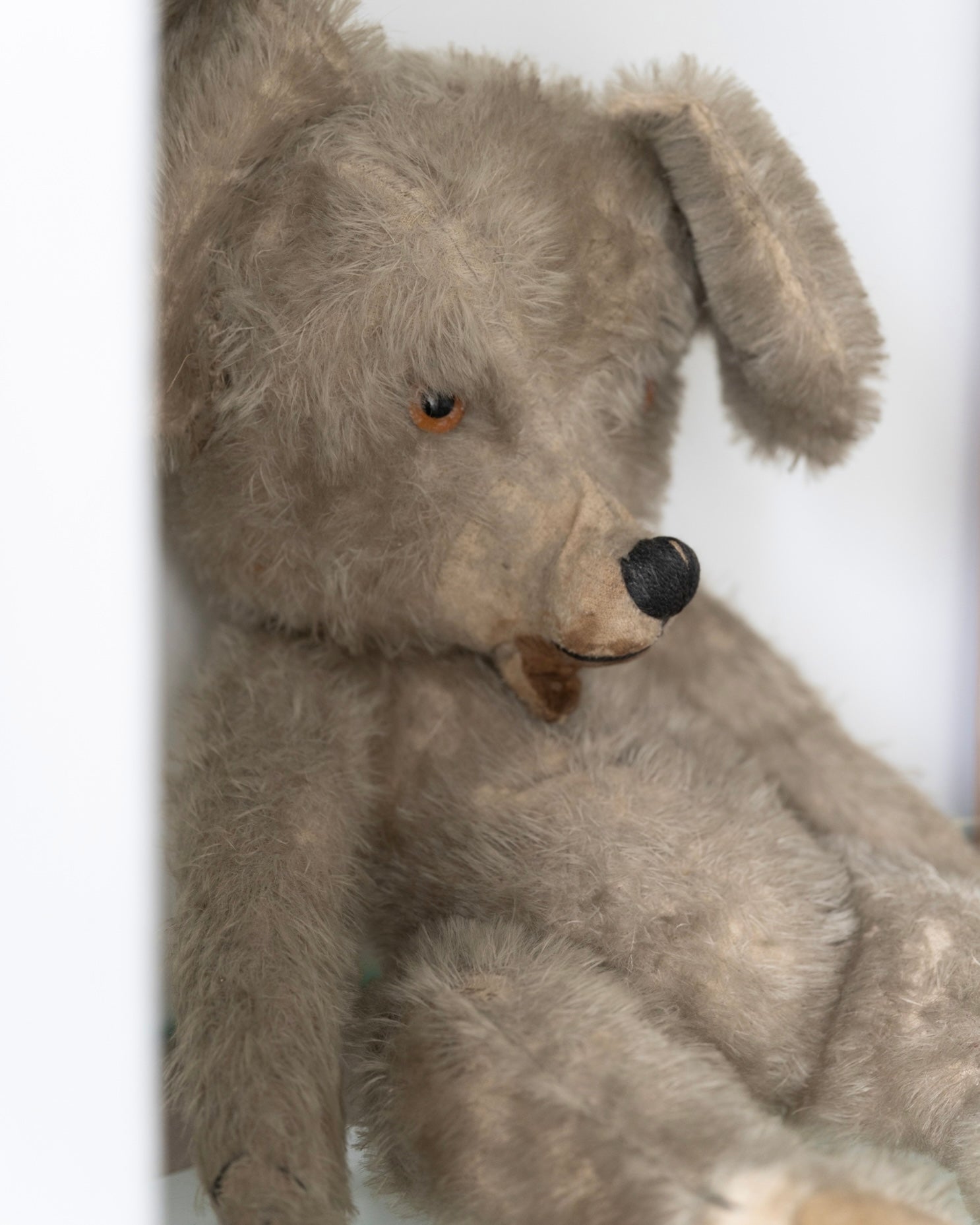 C.1920-1940|French Handmade Bear?