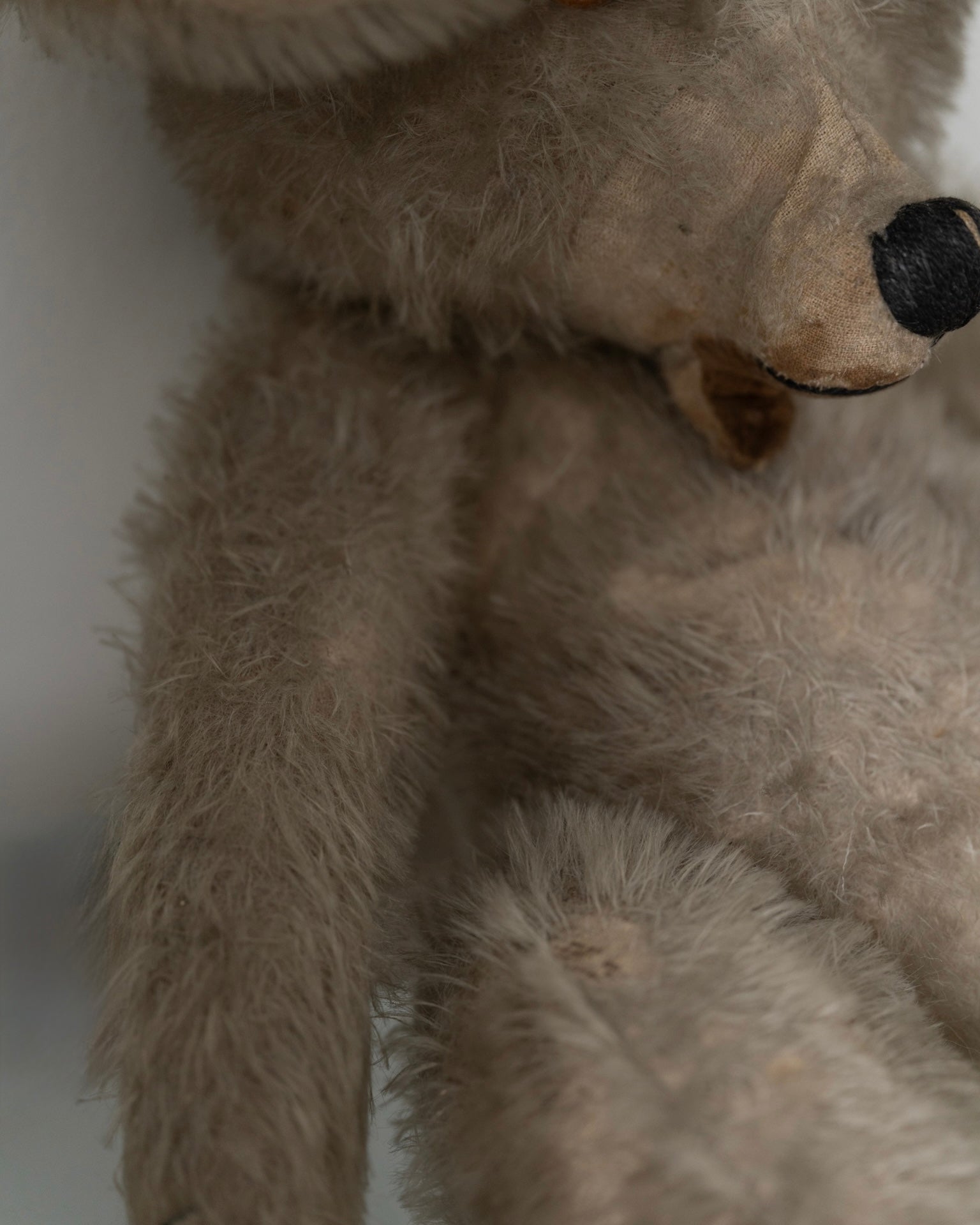 C.1920-1940|French Handmade Bear?