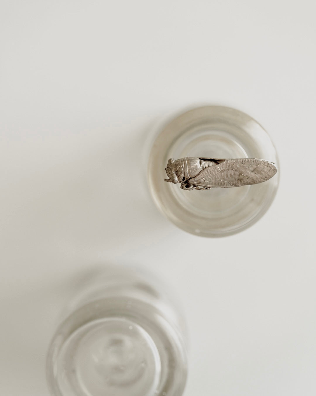 C.1900|Cicada French Silver Brooch