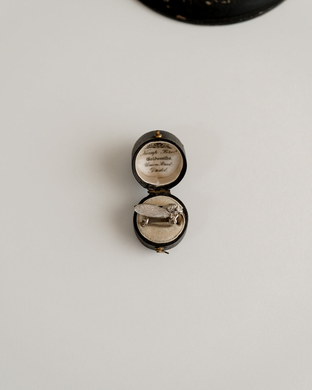 C.1900|Cicada Petit Brooch