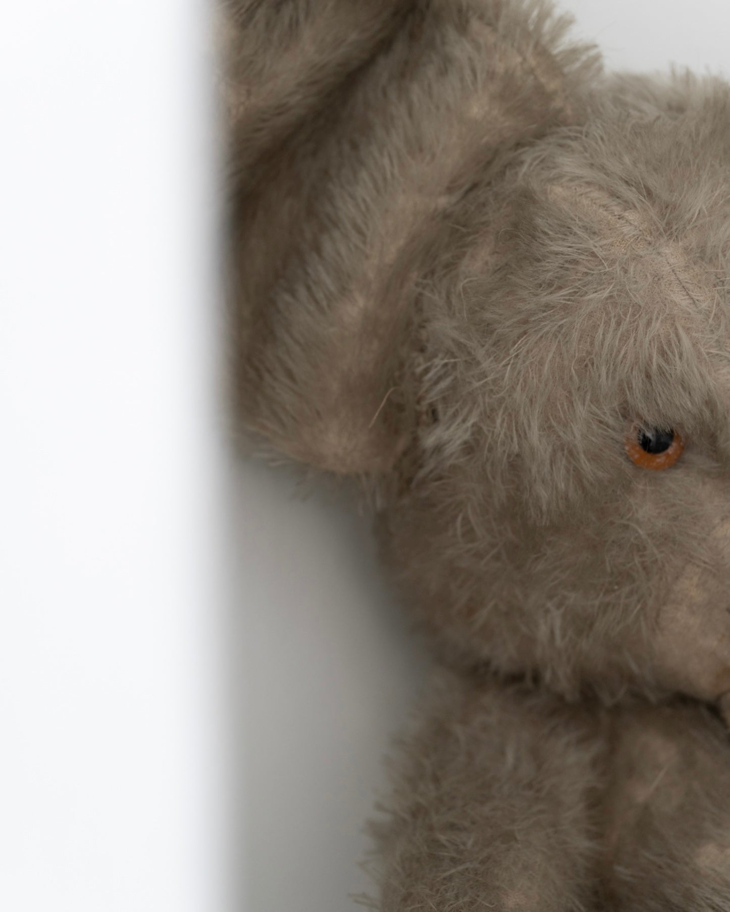 C.1920-1940｜French Handmade Bear?