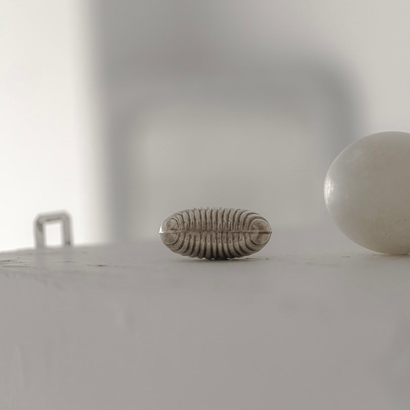 C.1930-1950 ｜ Shell Motif Perfume Bottle