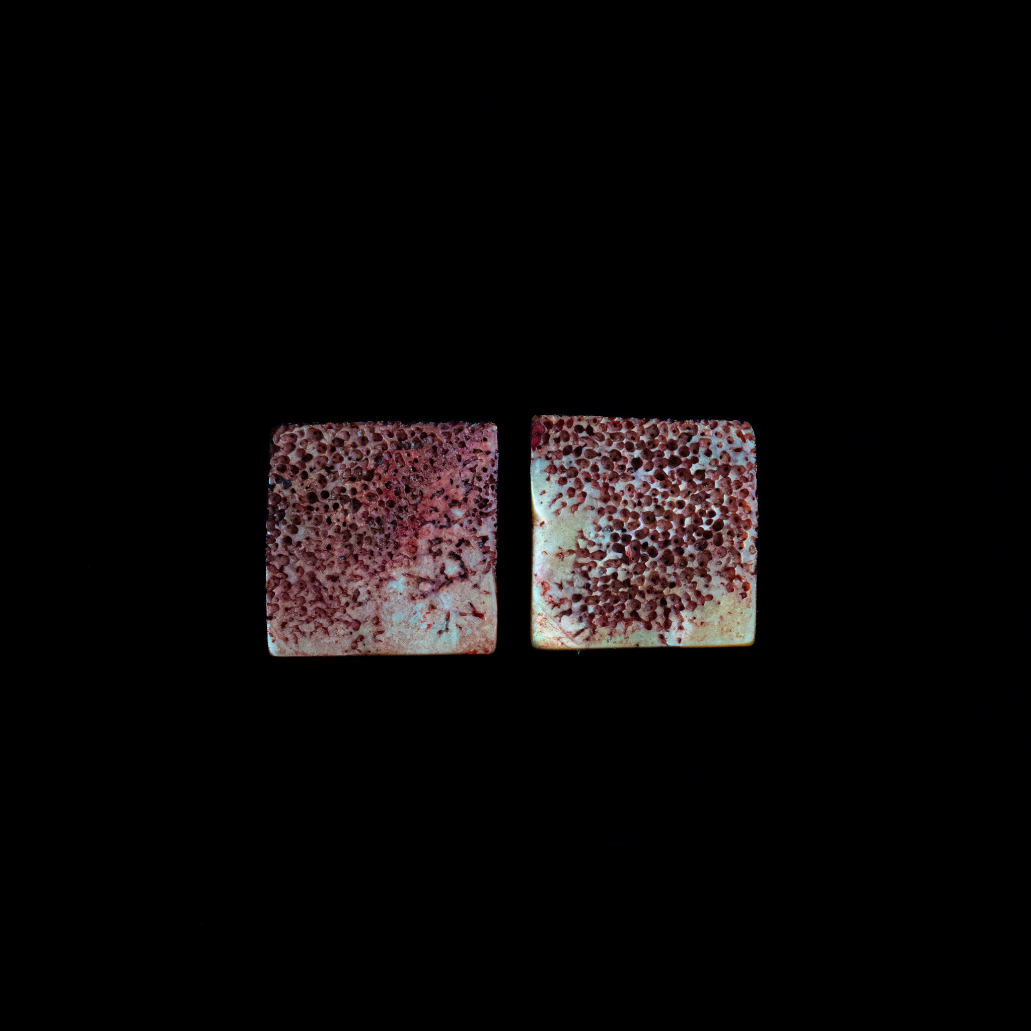 Pink Fossil Shell Square Earrings