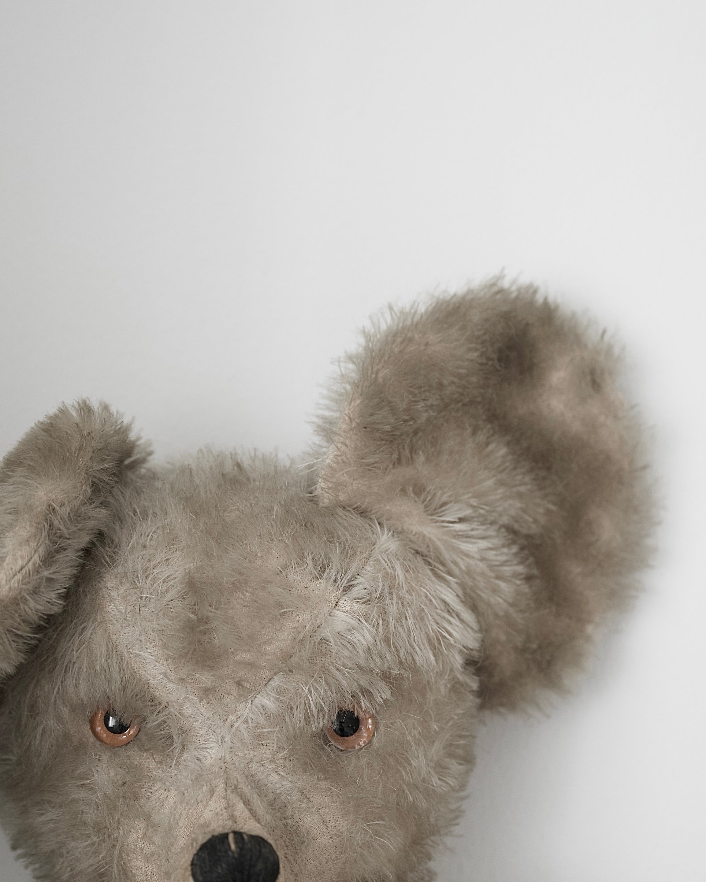 C.1920-1940｜French Handmade Bear?