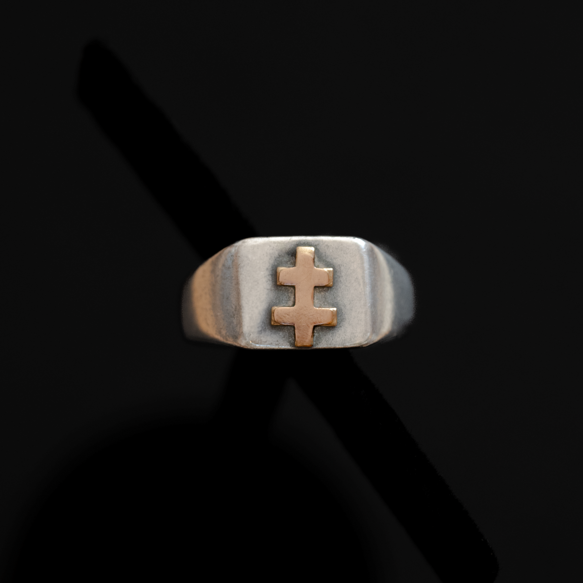 DSC08075ab_fcdb7b18-124e-458e-